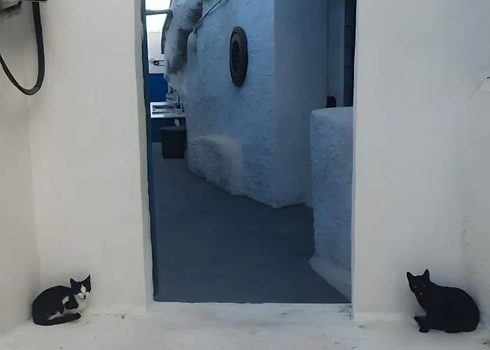 El Gato Genial *