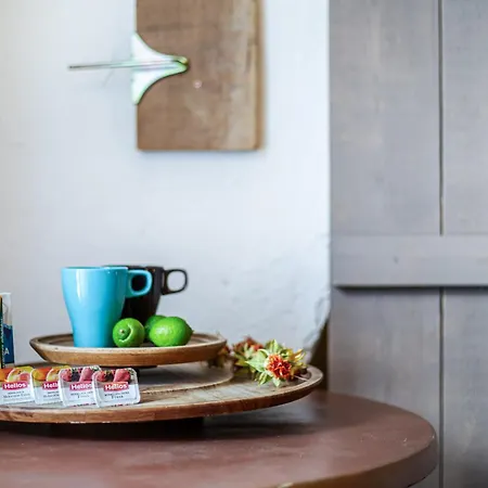 El Gato Genial Lomo de Mena